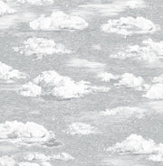 Classic Seasons Wallpaper Winter Snowdrift